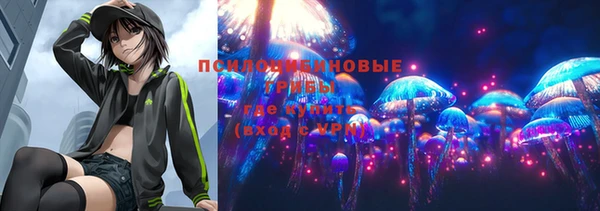дживик Медногорск
