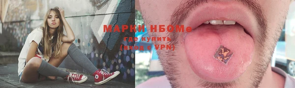 твердый Мегион
