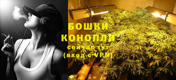 крисы Горнозаводск