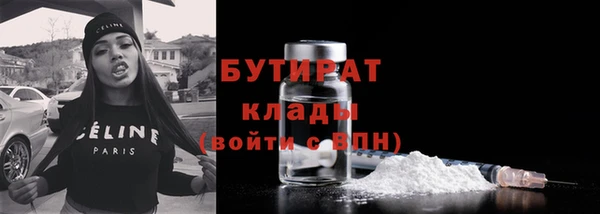 твердый Бердск