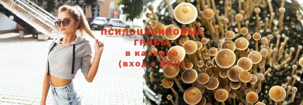 скорость Михайлов