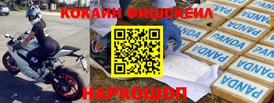 прущие грибы Гатчина