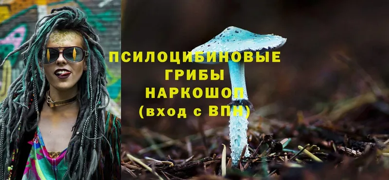 Псилоцибиновые грибы Magic Shrooms  Дальнереченск 