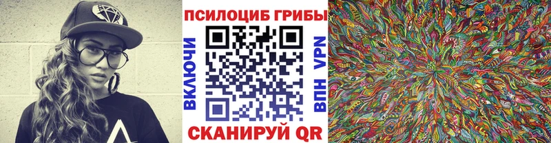Псилоцибиновые грибы мухоморы  omg зеркало  Дальнереченск 