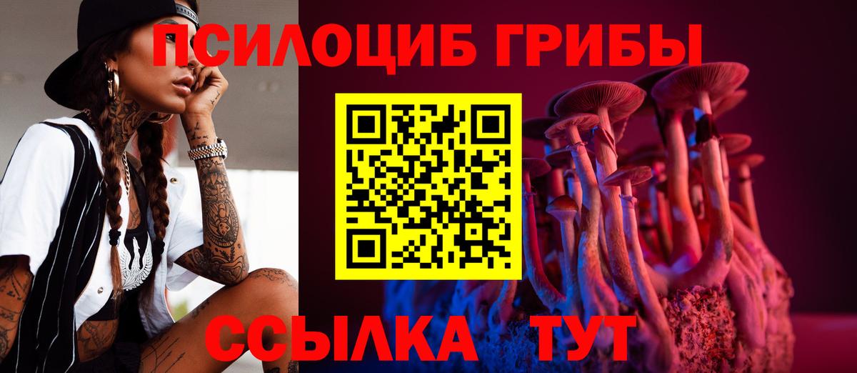 продажа наркотиков  Вход с VPN  Дальнереченск  Псилоцибиновые грибы Psilocybine cubensis 
